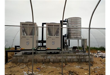 煙臺香菇大棚恒溫